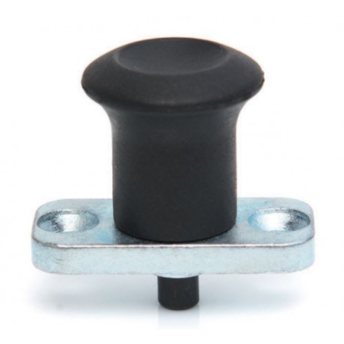 Index Plunger With Rest Position And Fixing Plate